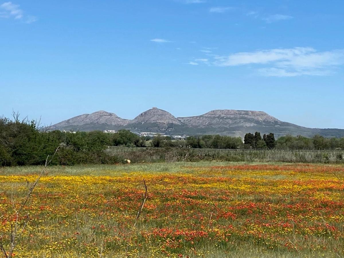 Torre Bertrana By Duquessa Hotel Collection Pals Dış mekan fotoğraf